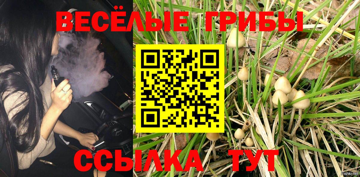Ликино-Дулёво  Галлюциногенные грибы ЛСД  Вход с VPN  Псилоцибиновые грибы GOLDEN TEACHER 